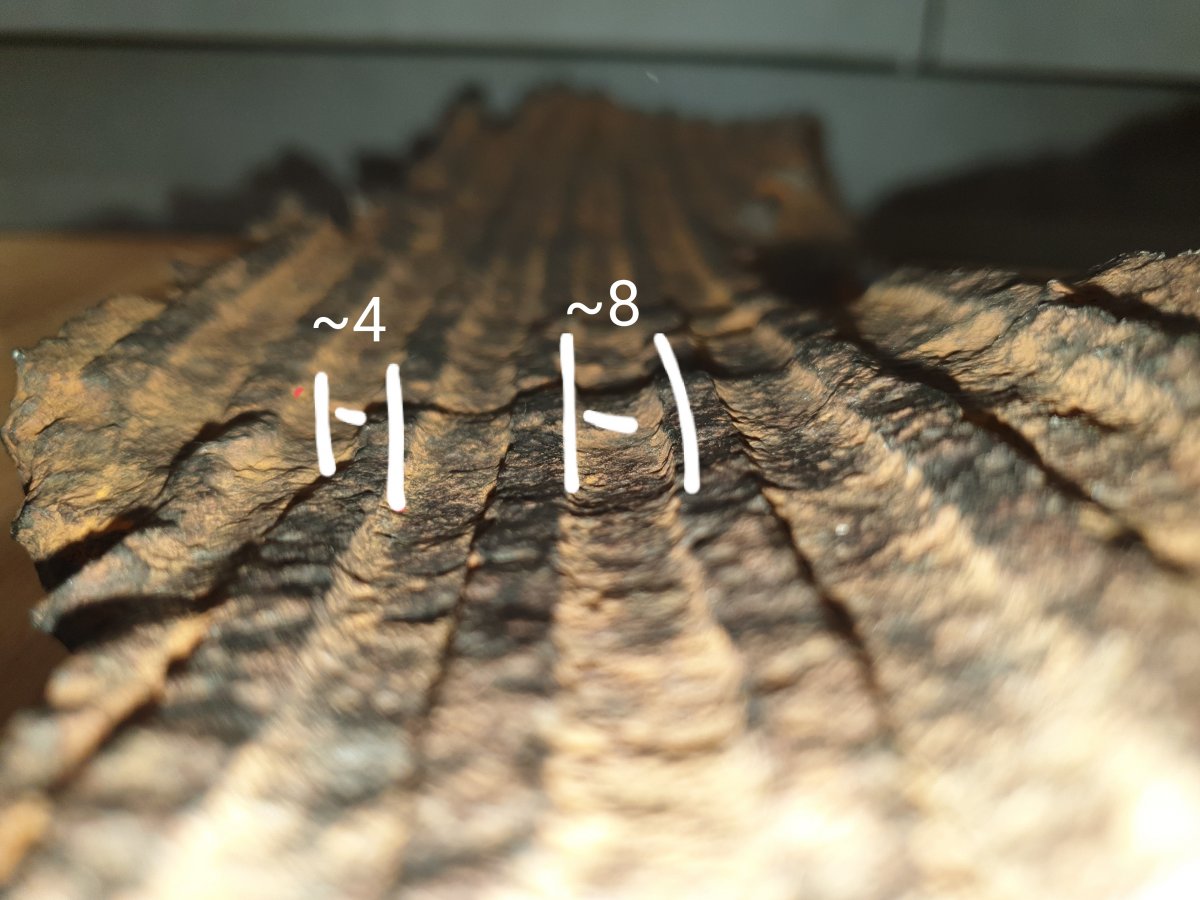 20220213_114633.jpg