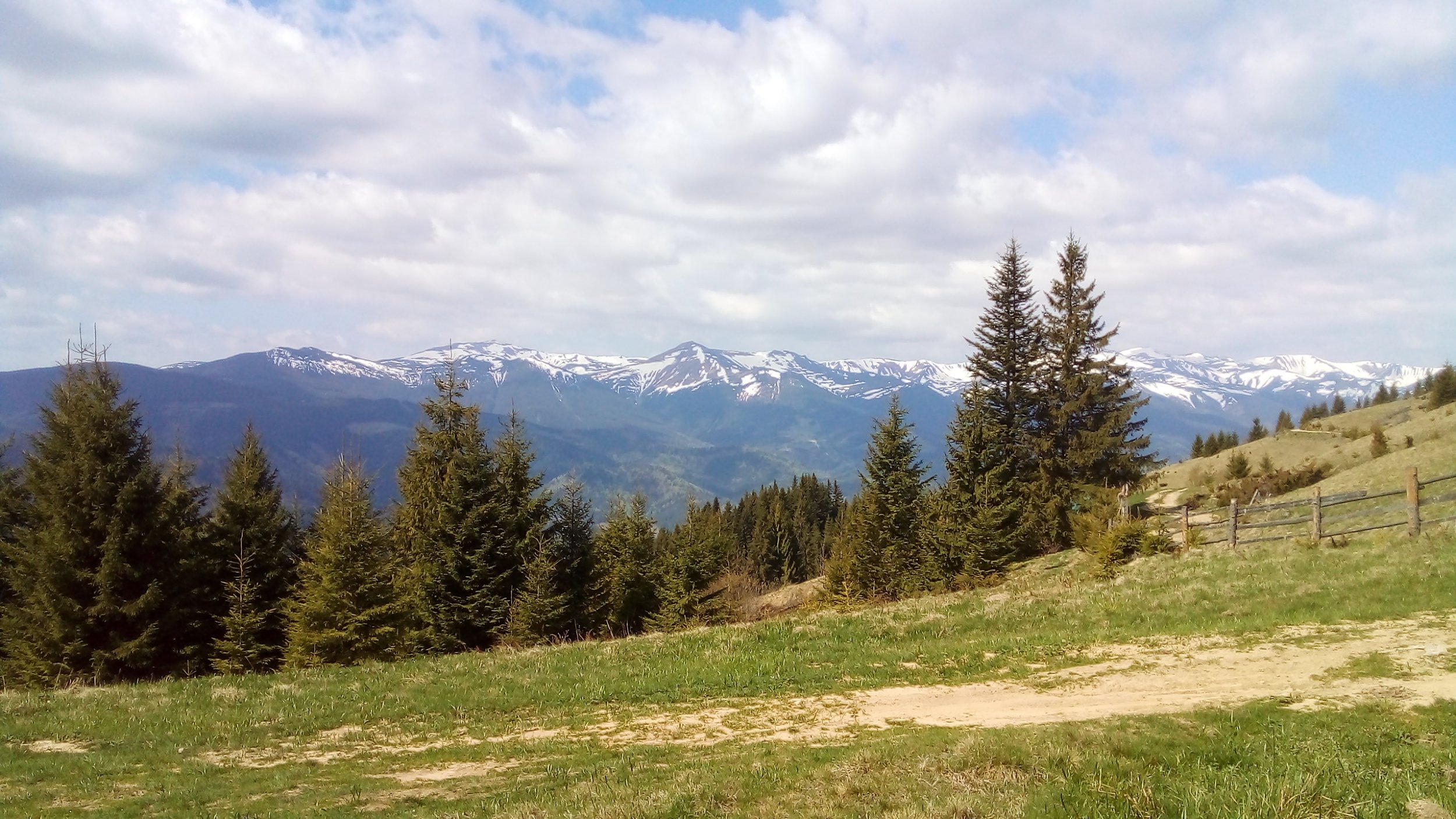 20220515_104154.jpg