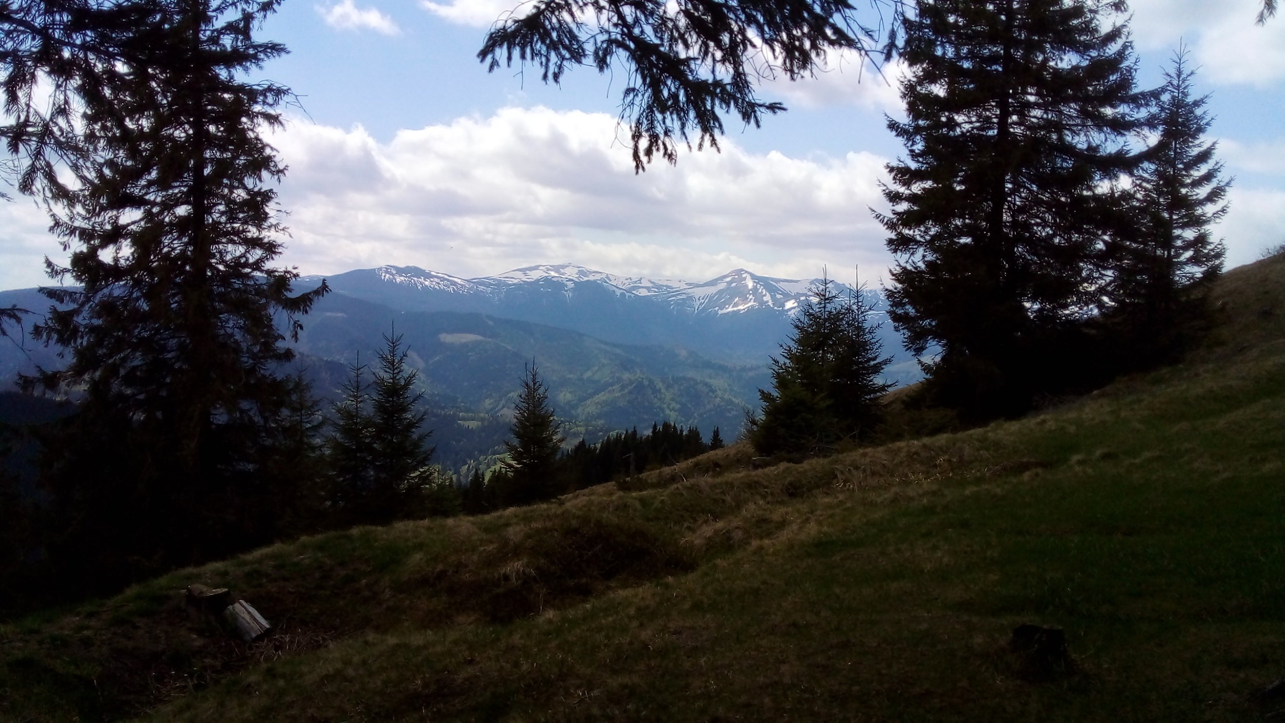 20220515_141320.jpg