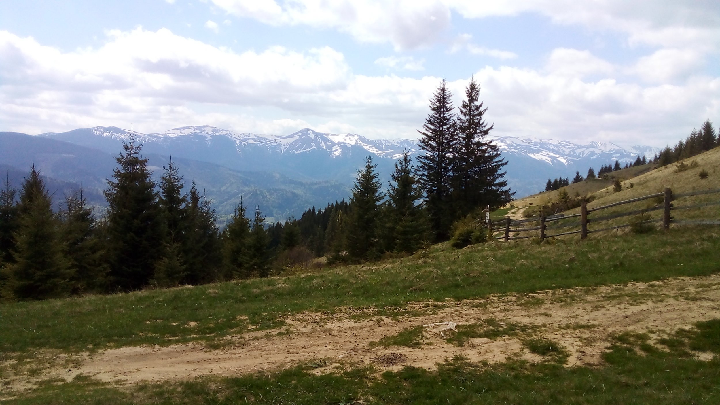 20220515_141553.jpg