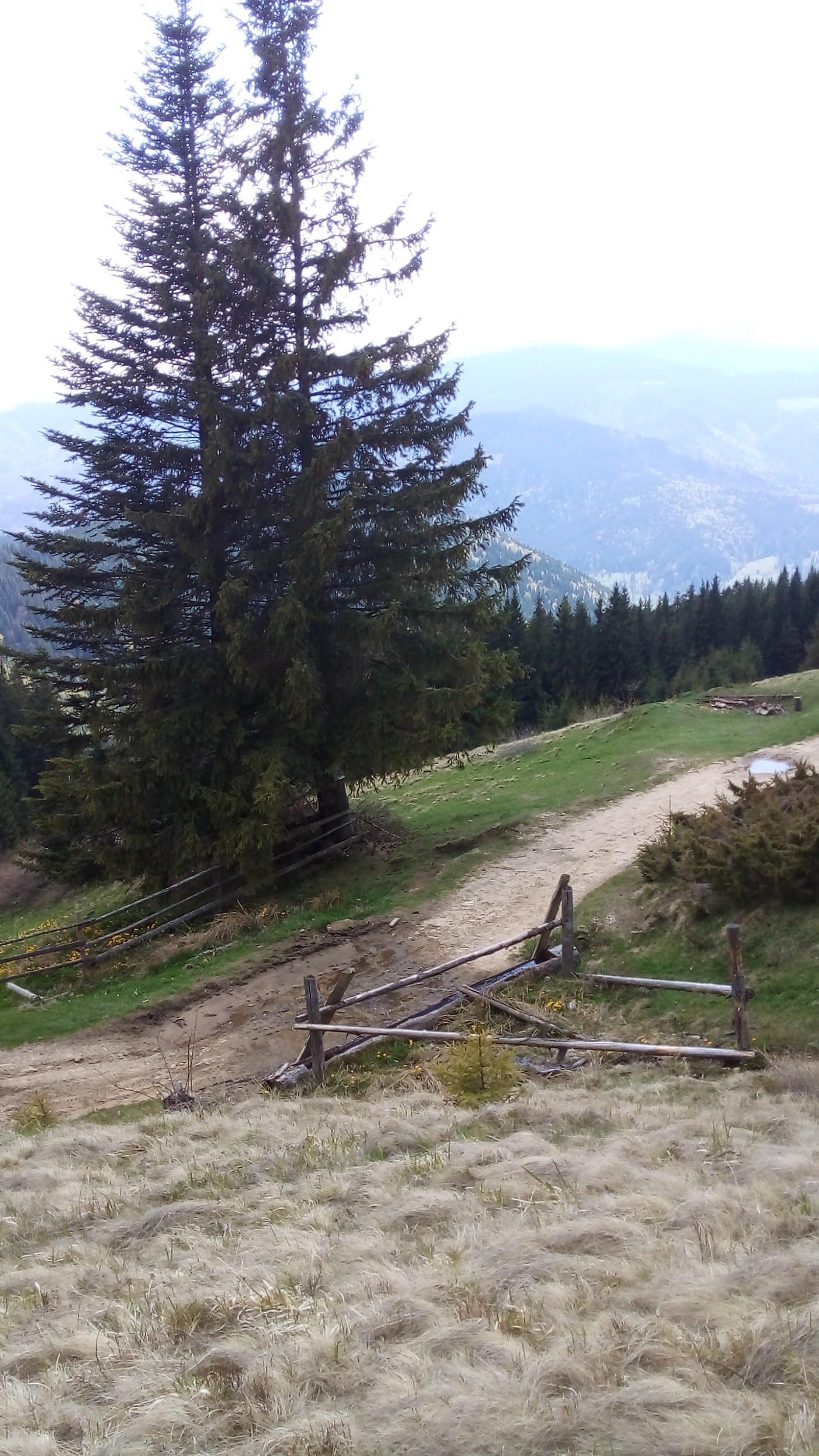 20220515_150625.jpg
