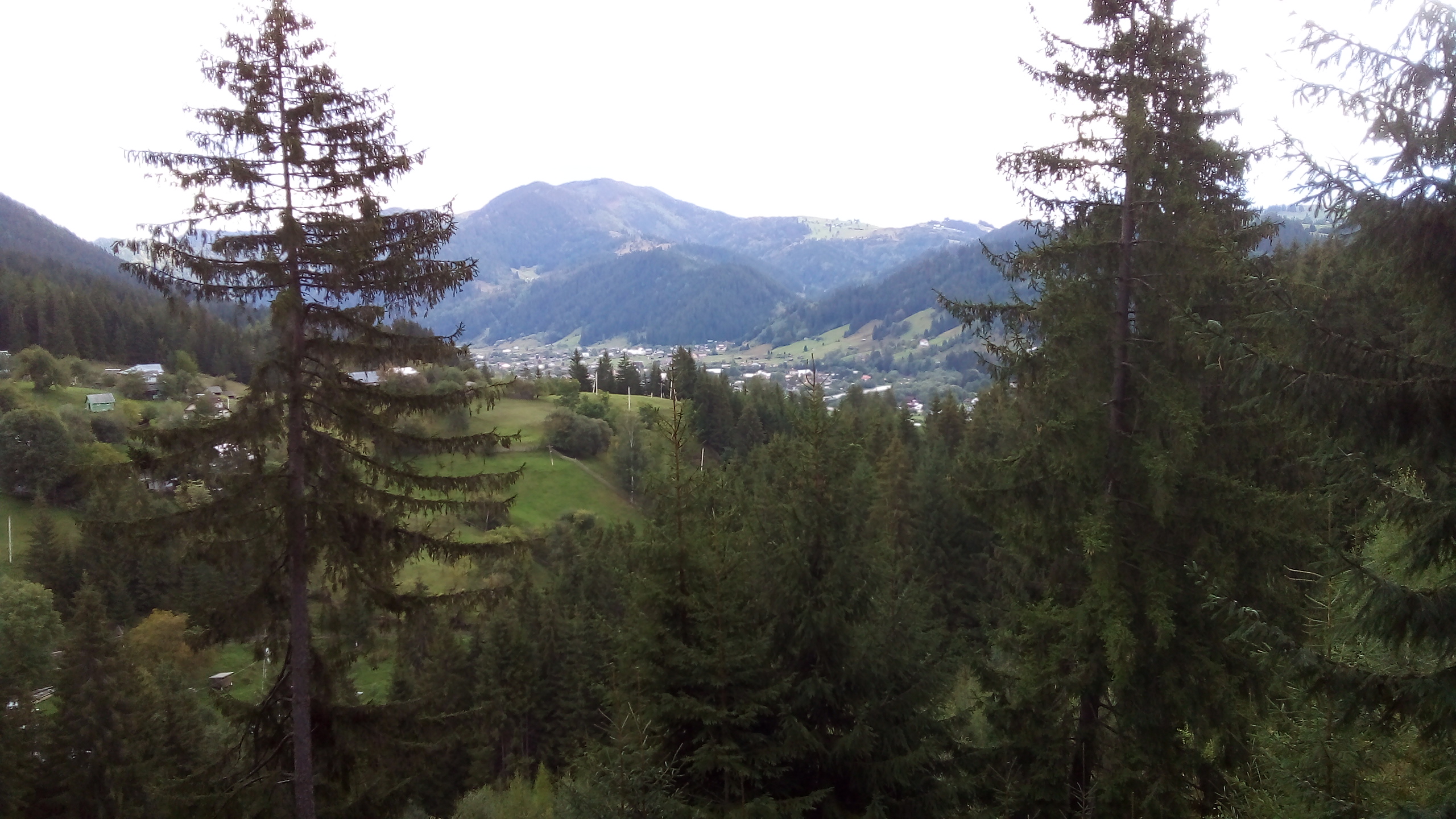 20220911_123924.jpg