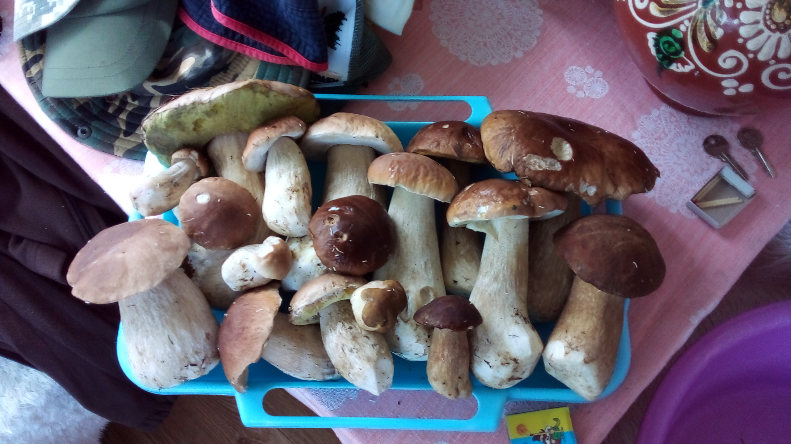 20220911_135557.jpg