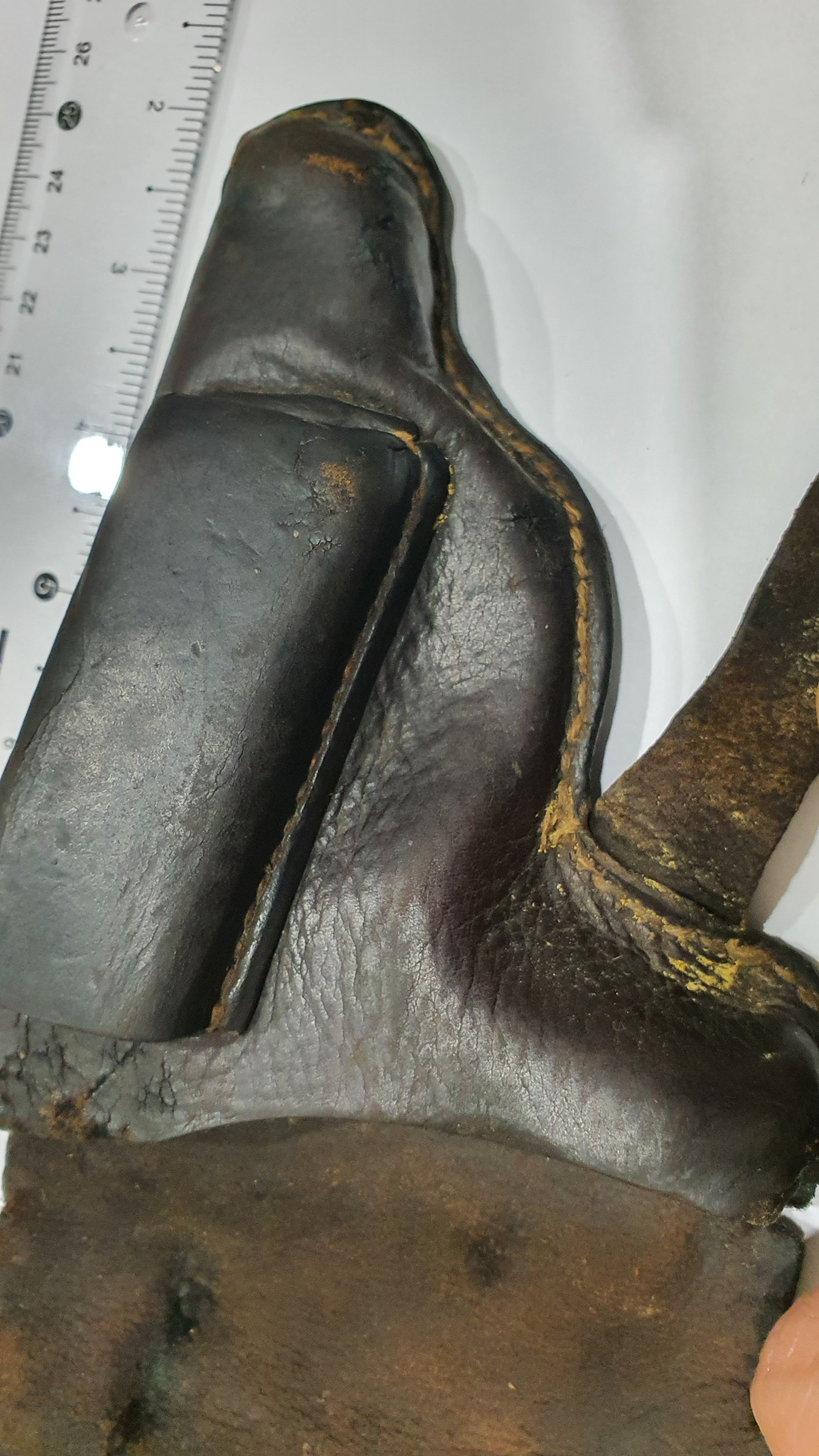 20220921_005347.jpg