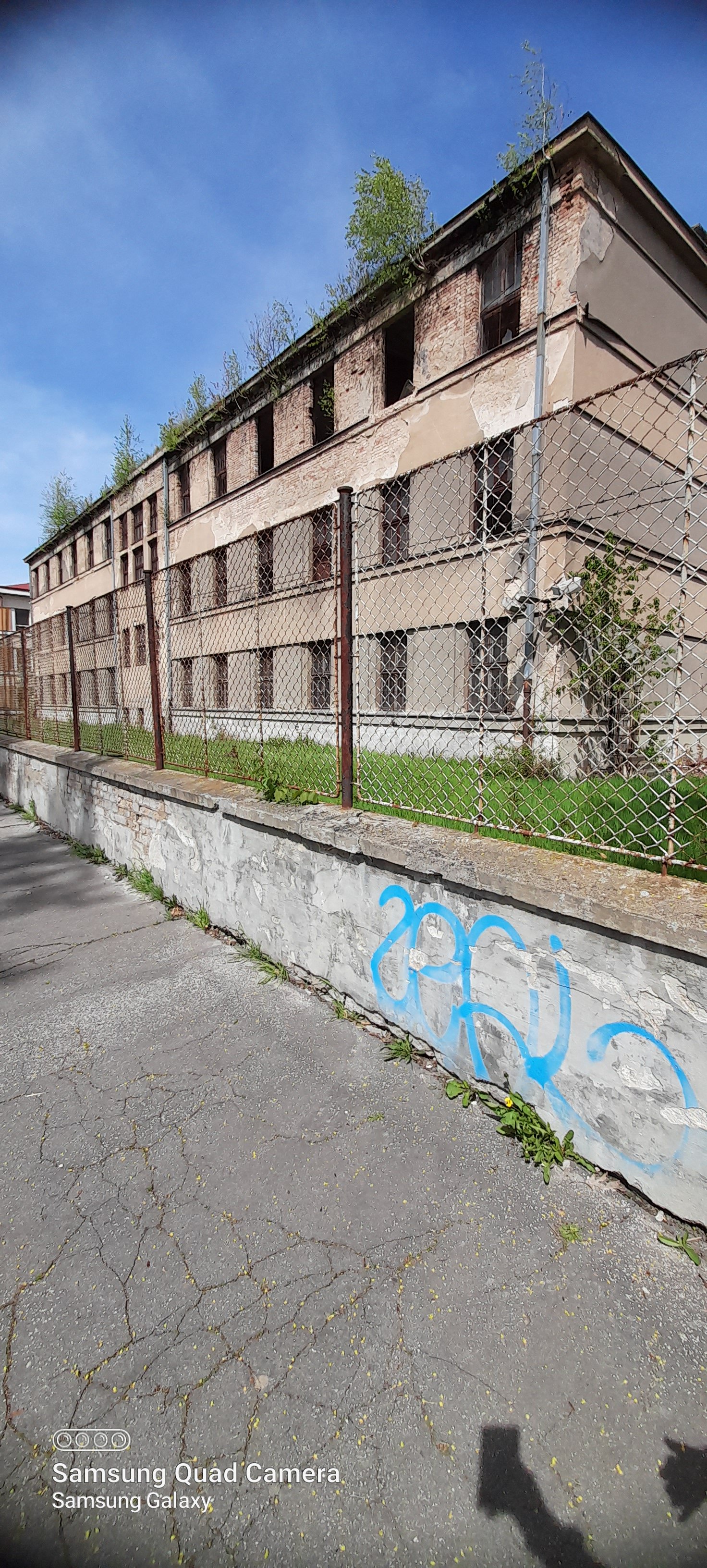 20230501_114337.jpg