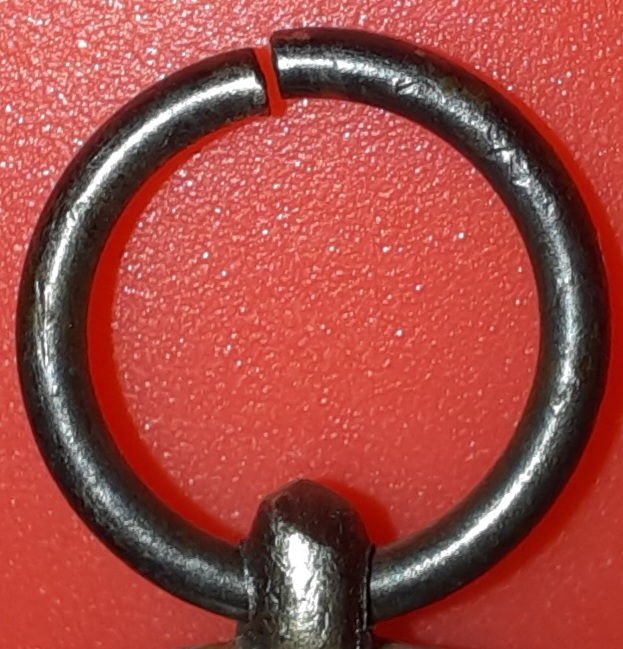 20231121_191723.jpg