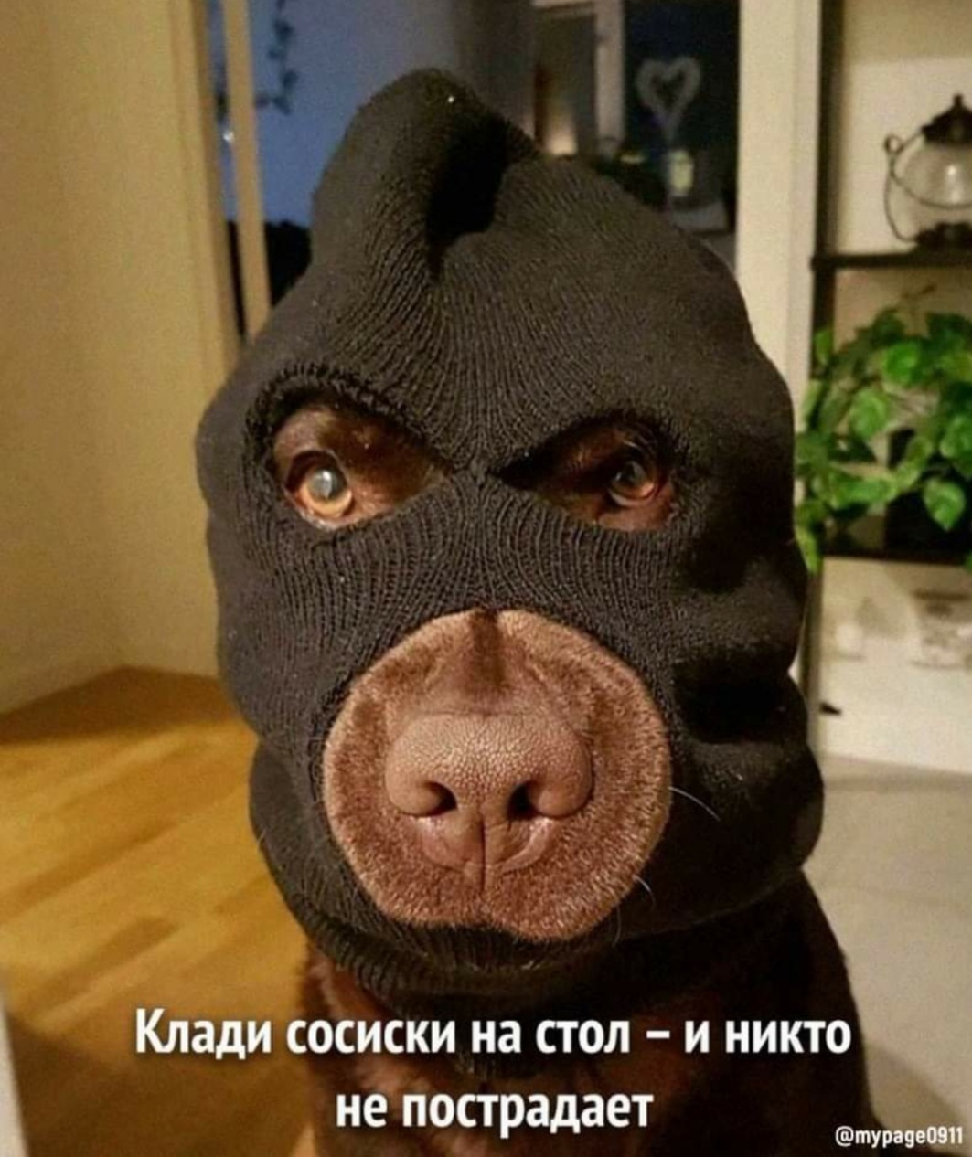 20240210_212238.jpg