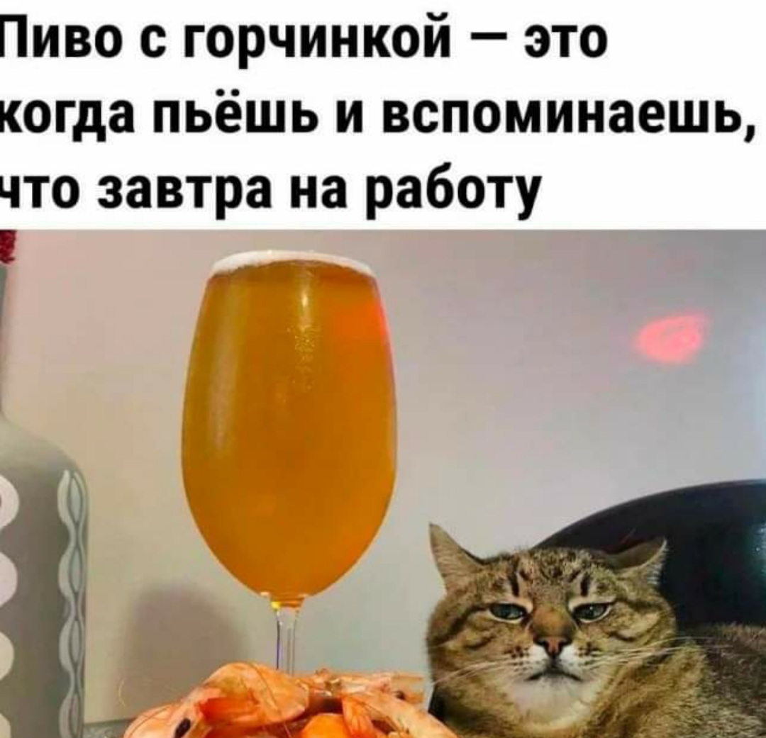 20240211_215911.jpg
