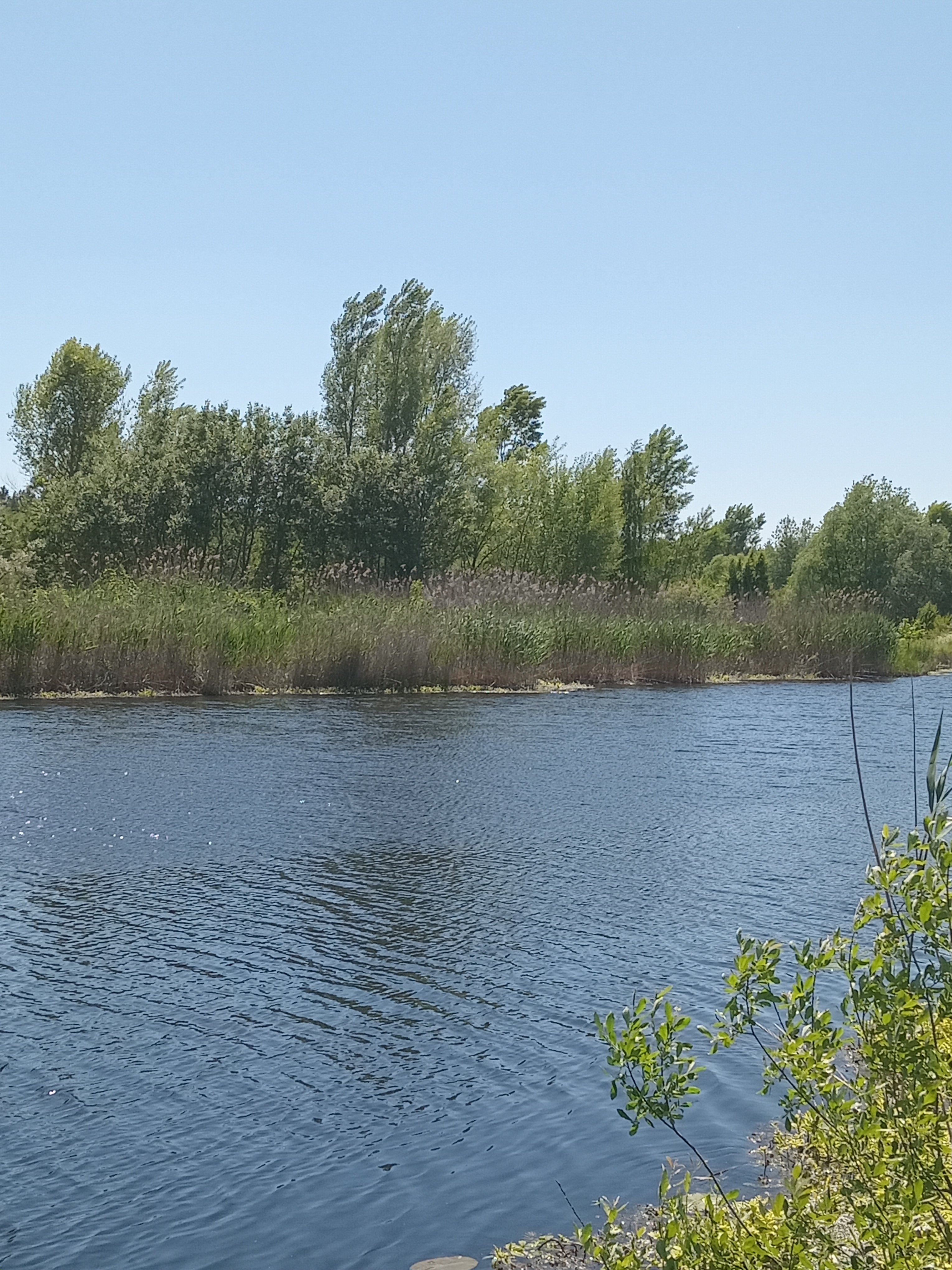 20240525_132829.jpg