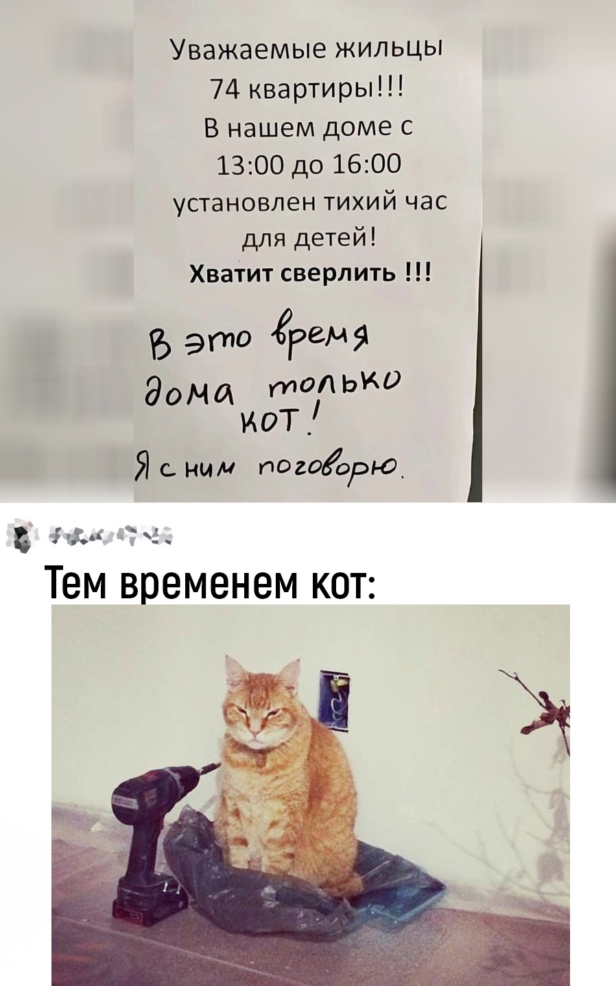 20240526_152935.jpg