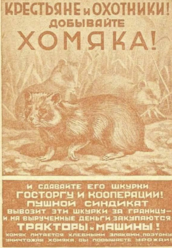 20240713_212433.jpg