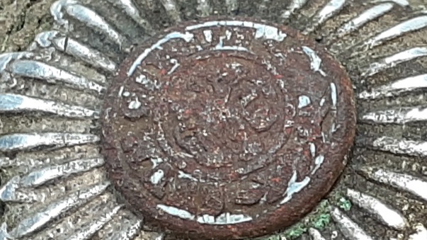 20241026_120128.jpg