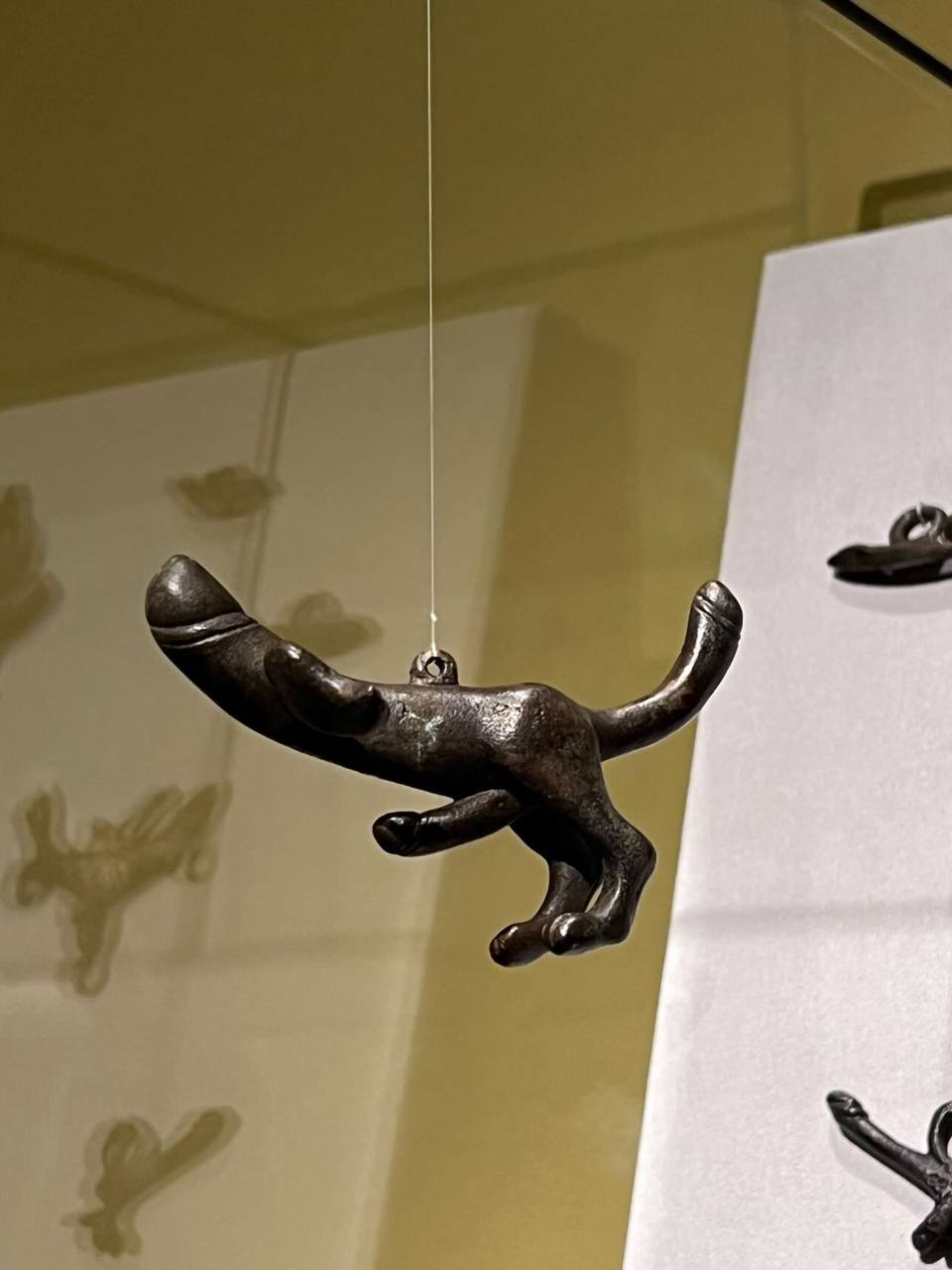 20241105_220124.jpg