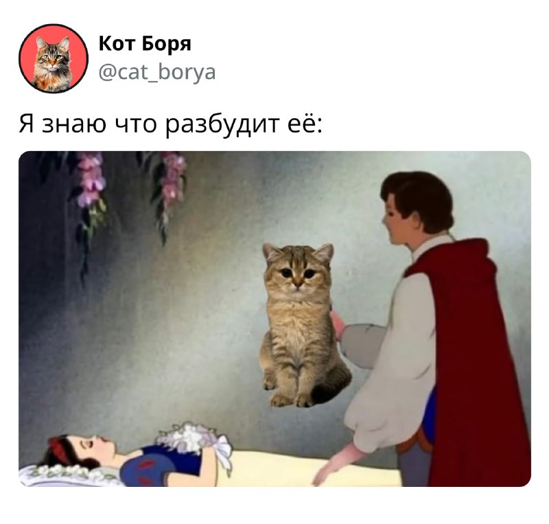 20250607_160727.jpg