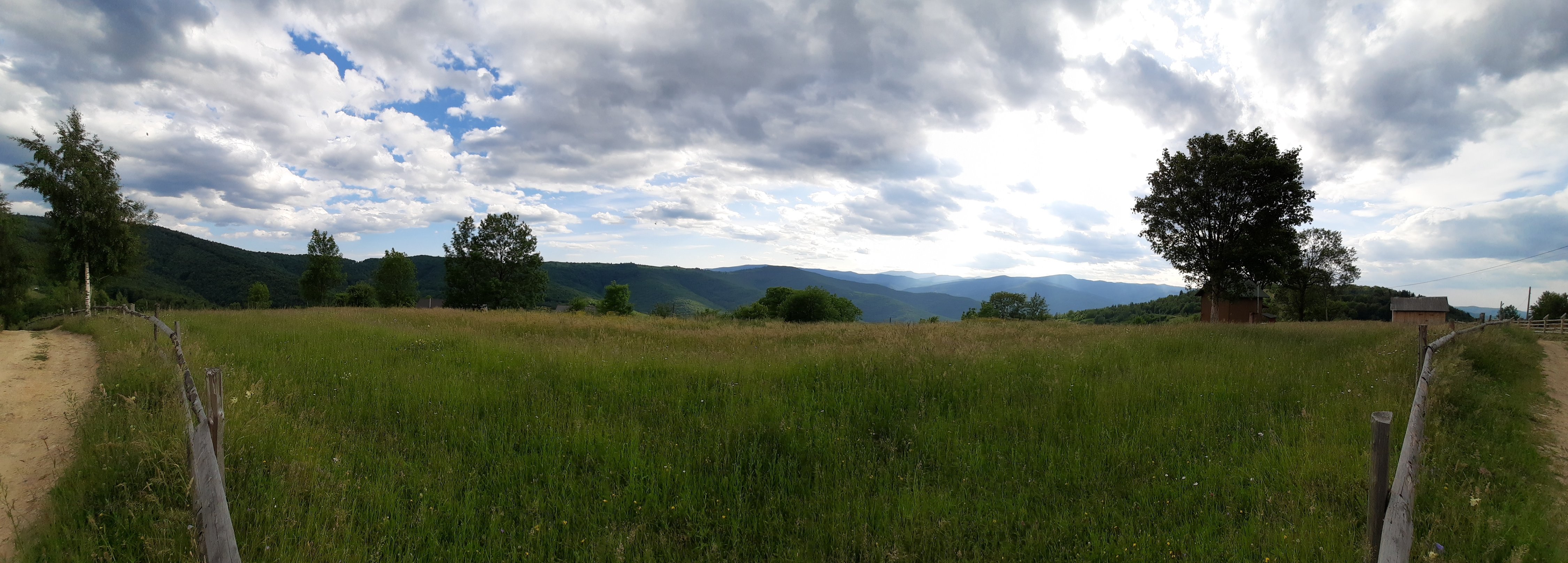 20250622_171524.jpg