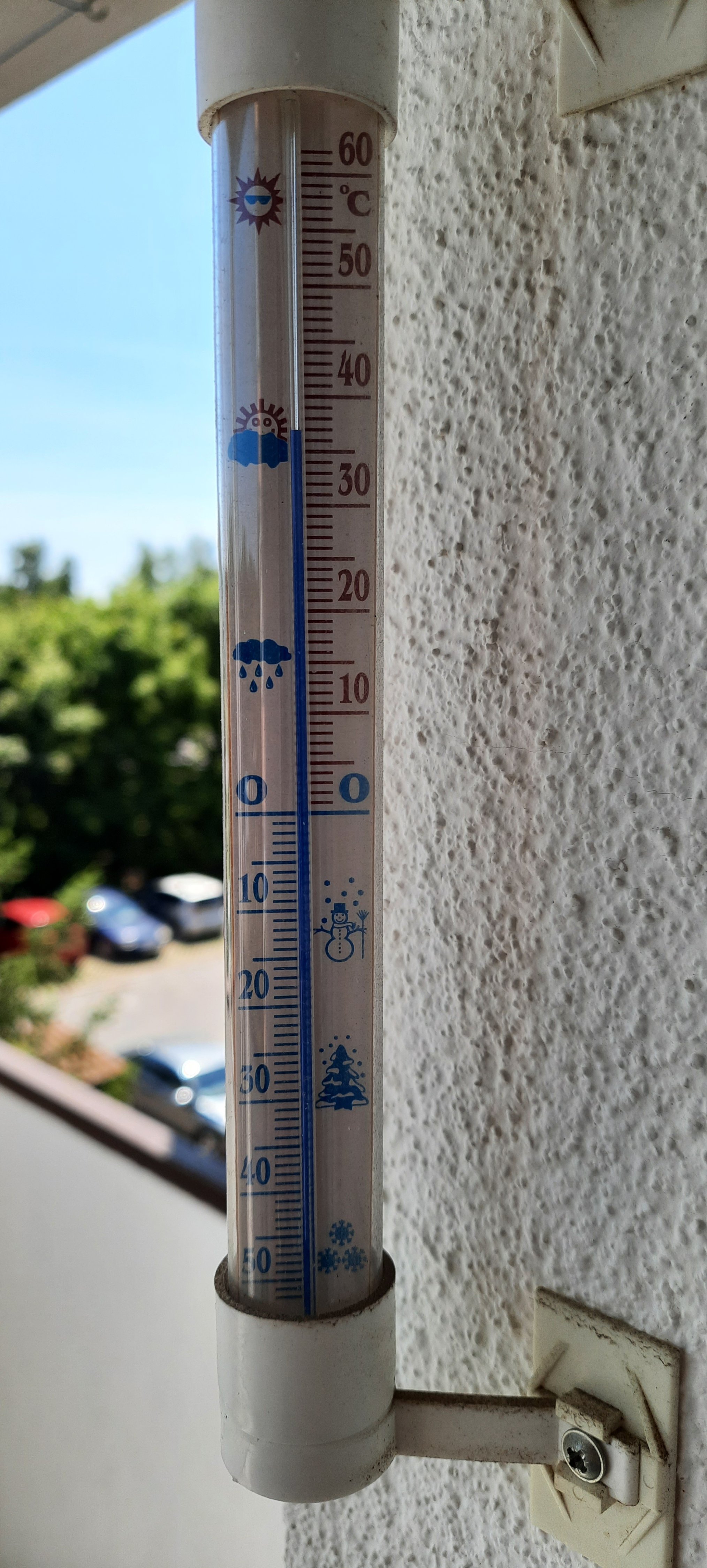 20250703_113635.jpg