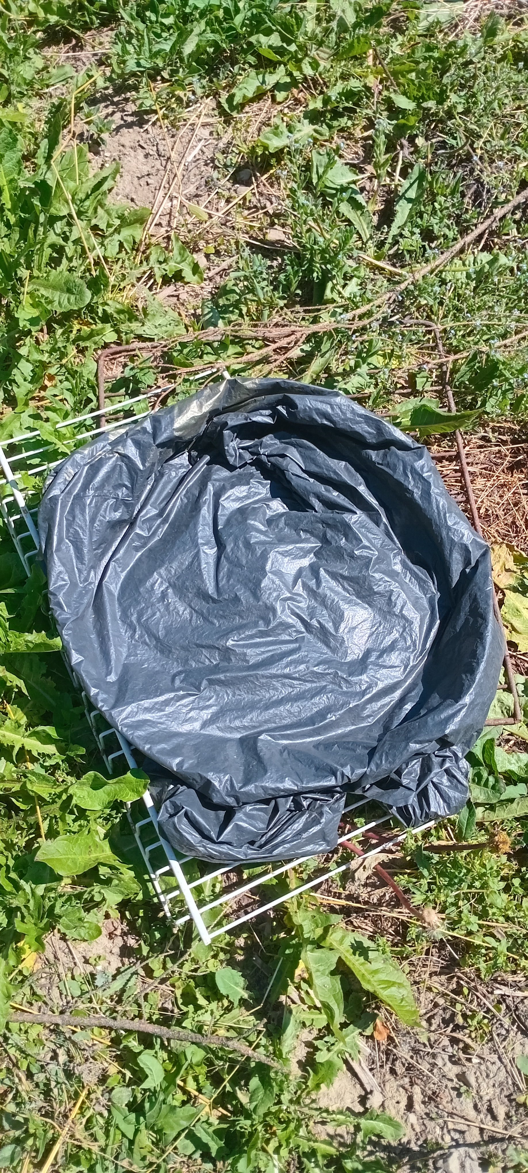 20250703_154840.jpg