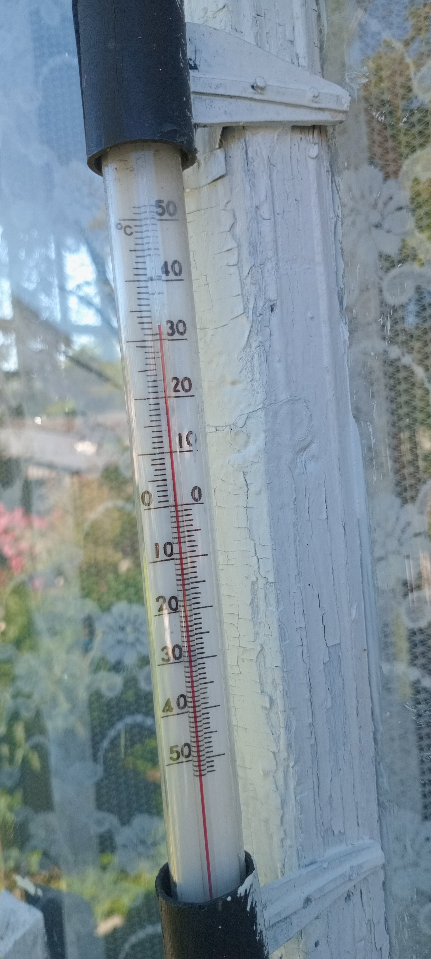 20250703_154853.jpg