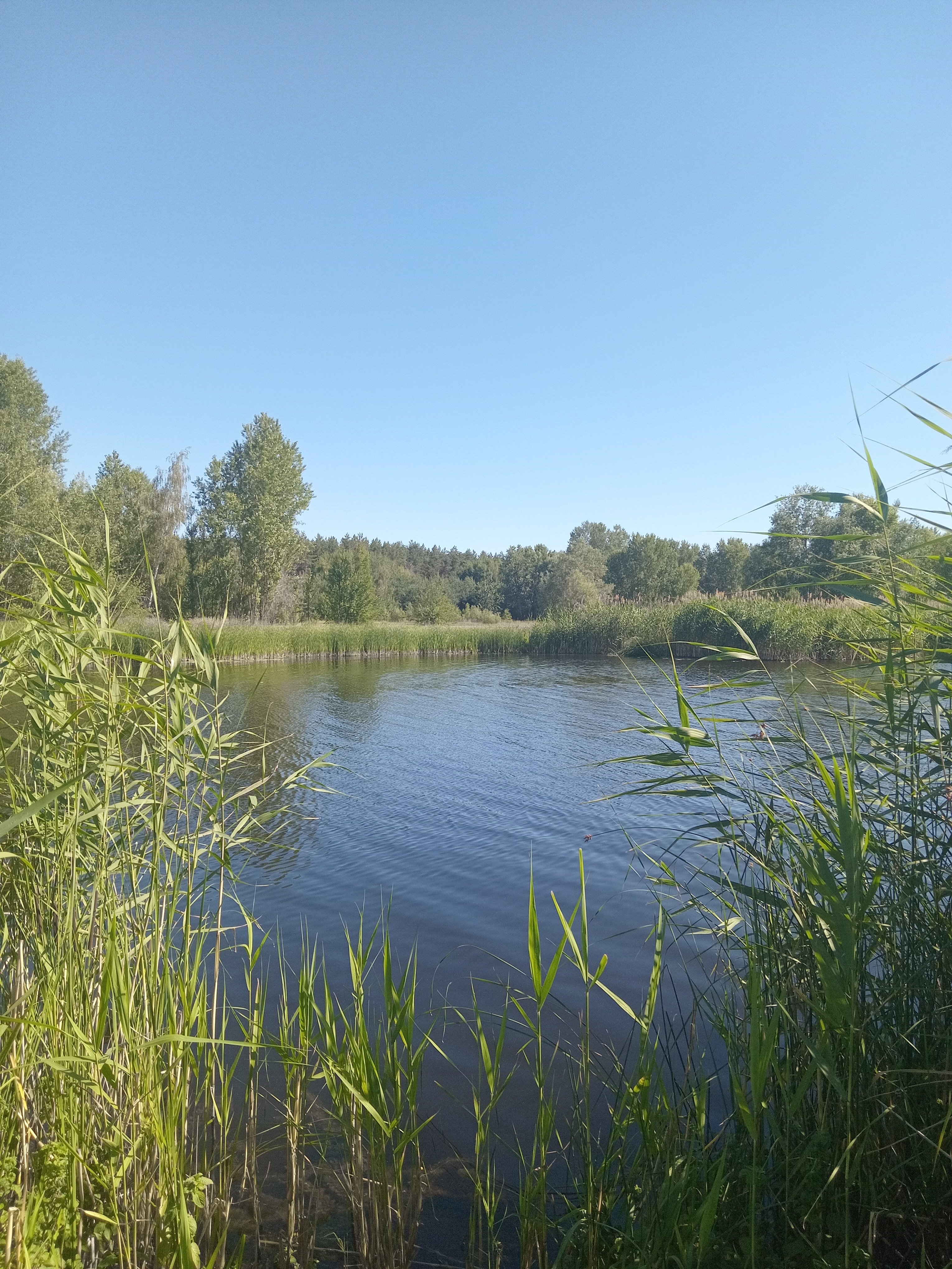 20250706_161645.jpg