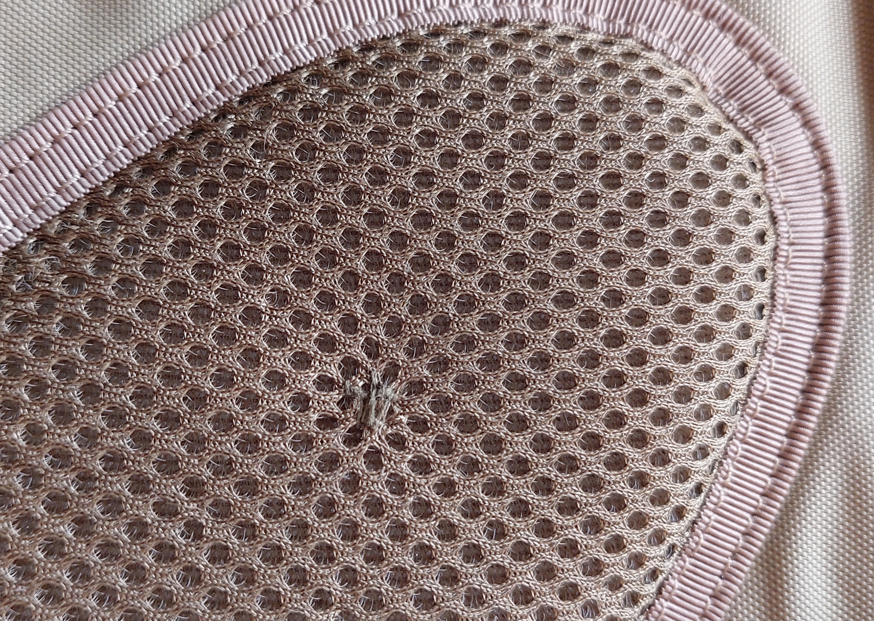 20250707_152403.jpg