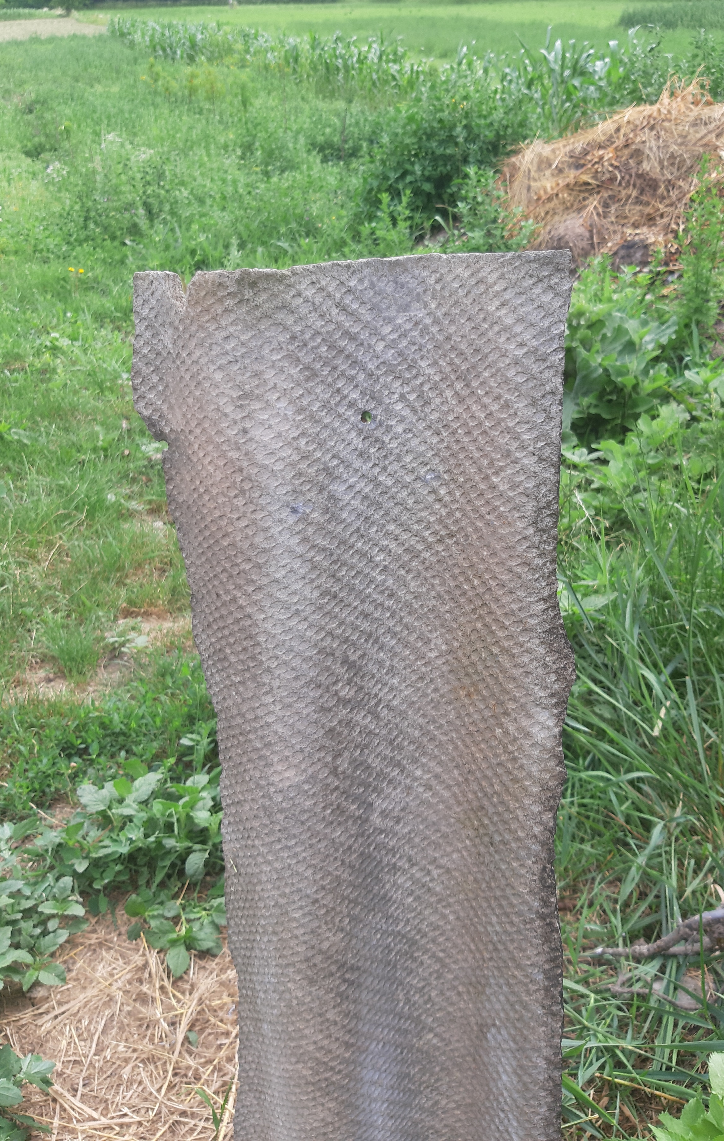 20250716_101734.jpg