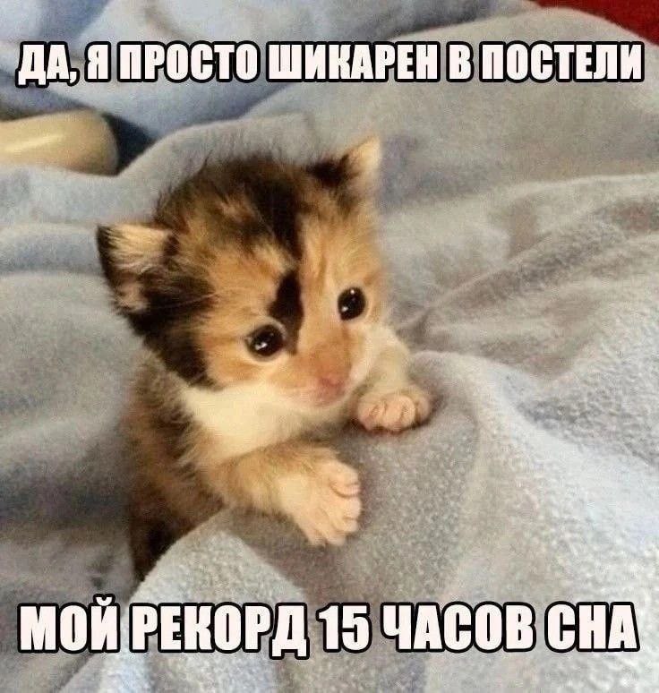 20250724_214827.jpg