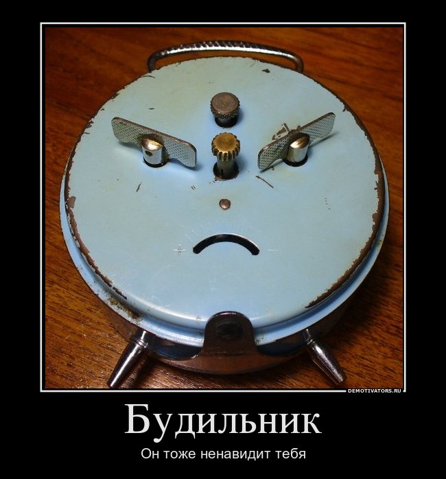 20594800_budilnik.jpg