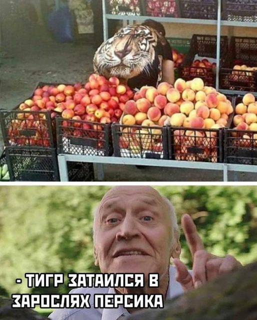 207661216_844166803174013_8011340379834571990_n.jpg
