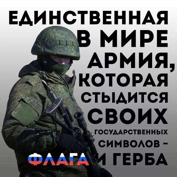 2133113_original.jpg