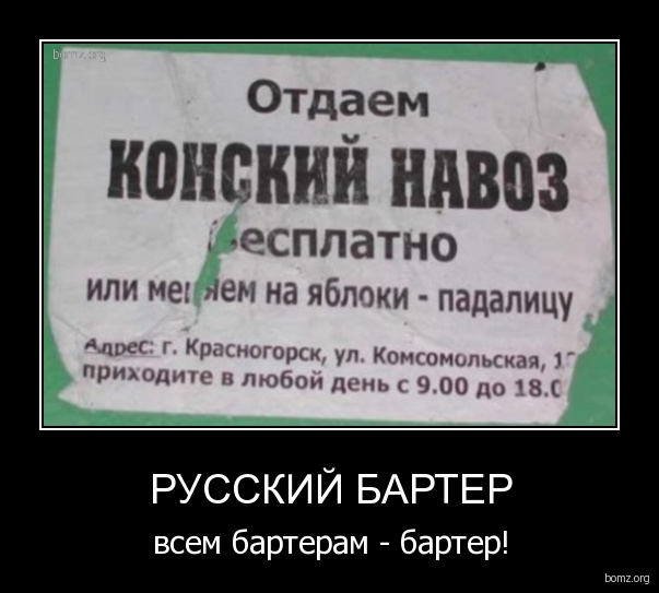 2165408_original.jpg