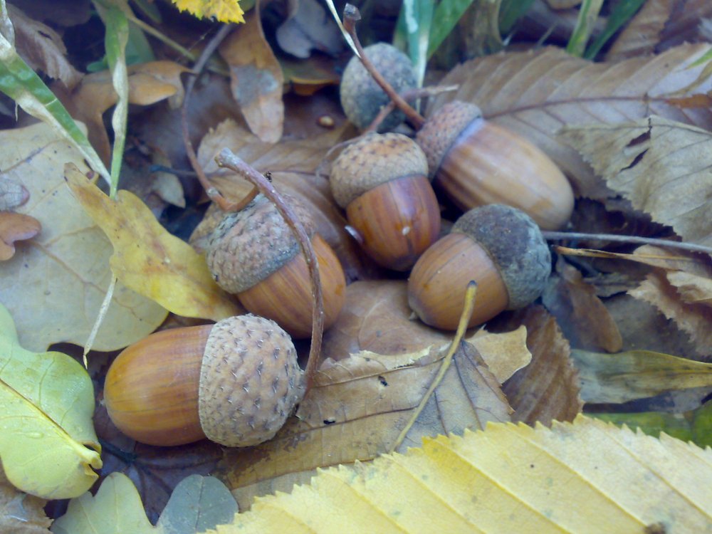 22102010667.jpg