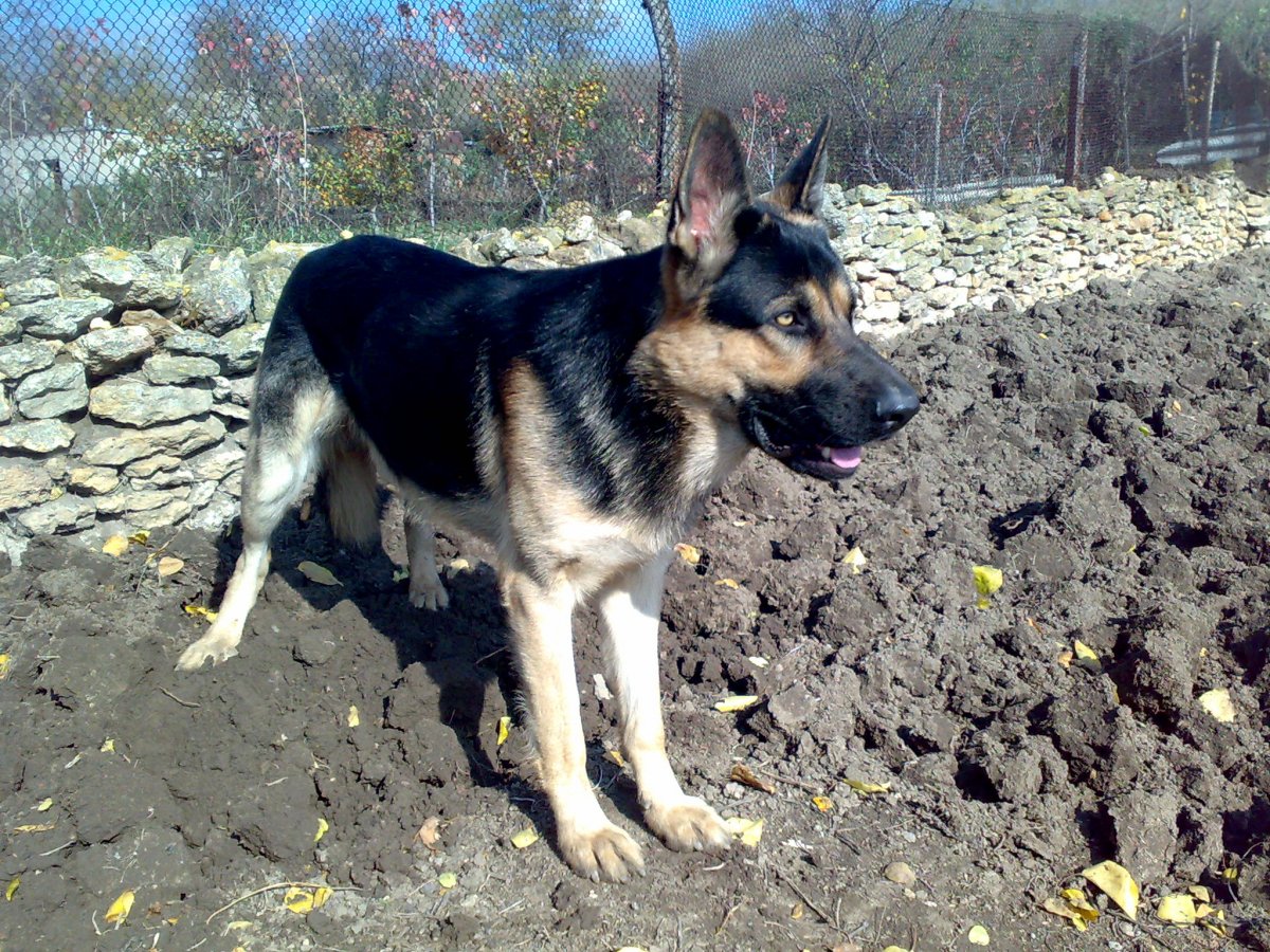 221020131098.jpg