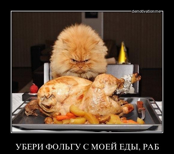 224912_a33.jpeg