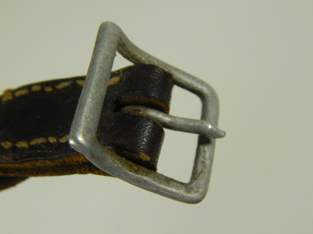226chinstrap0004.JPG