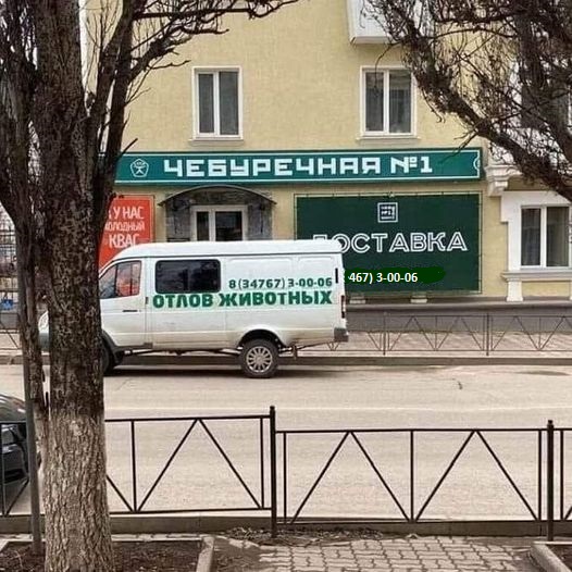 239208240_3000042150316518_7957704863467036733_n - копия.jpg