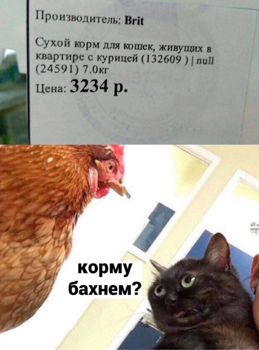 239628935_250213990289159_6850988896800343102_n.jpg