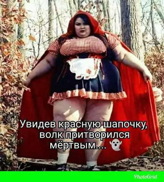 24 Волк умер.jpg