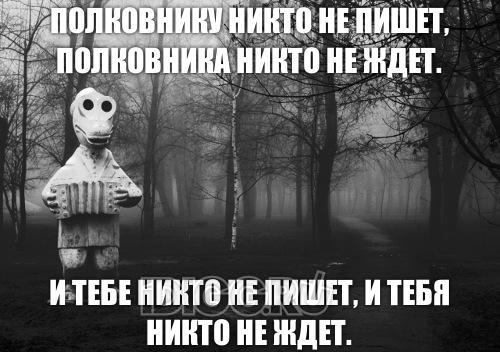 24223.jpg