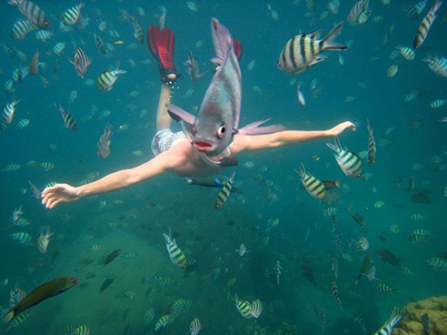 242805-perfectly-timed-photos-87-650-8b1c07d958-1484640730.jpg