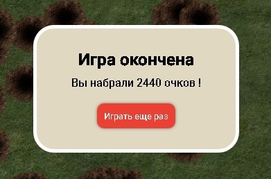 2440.jpg