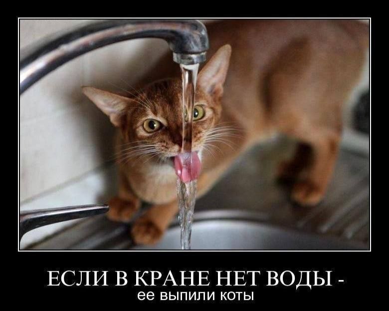 24586286-a0027b80e578248d6c8ddc47b11c6815.jpg