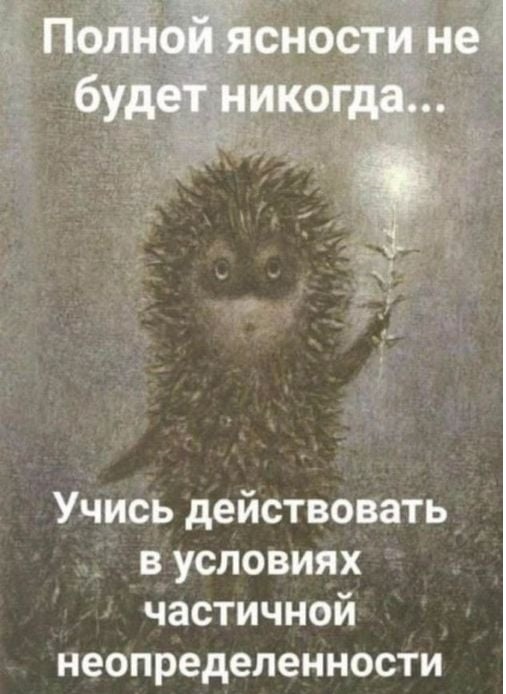 247385249_921166198807406_3530037392522598550_n.jpg