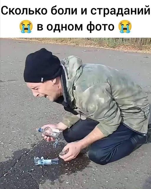 249690660_393945415770592_7226571743366131310_n.jpg