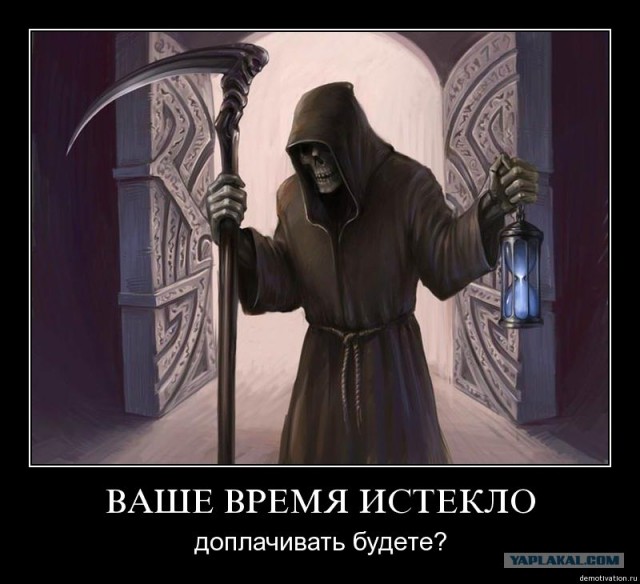 251362.jpg