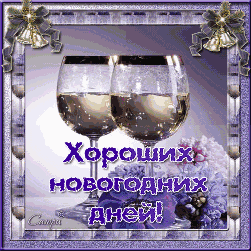 251388.gif