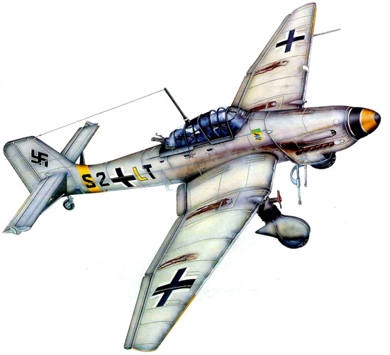 25631410.jpg