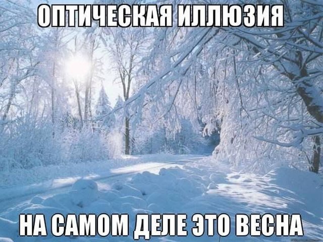259842.jpeg
