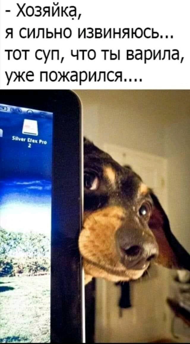 25bd0b40e6b3b08538bb18588b9556cf.jpg
