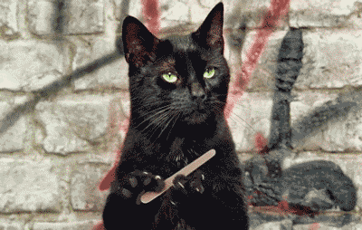 25D3976B-ED44-4B02-A3B6-8AE977F8E359.gif