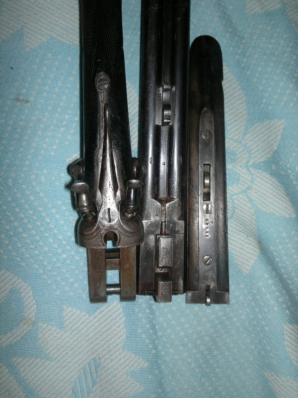 261724558.jpg